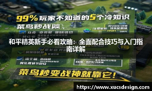 和平精英新手必看攻略：全面配合技巧与入门指南详解