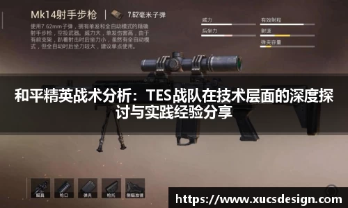 和平精英战术分析：TES战队在技术层面的深度探讨与实践经验分享