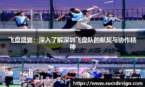 飞盘盛宴：深入了解深圳飞盘队的默契与协作精神